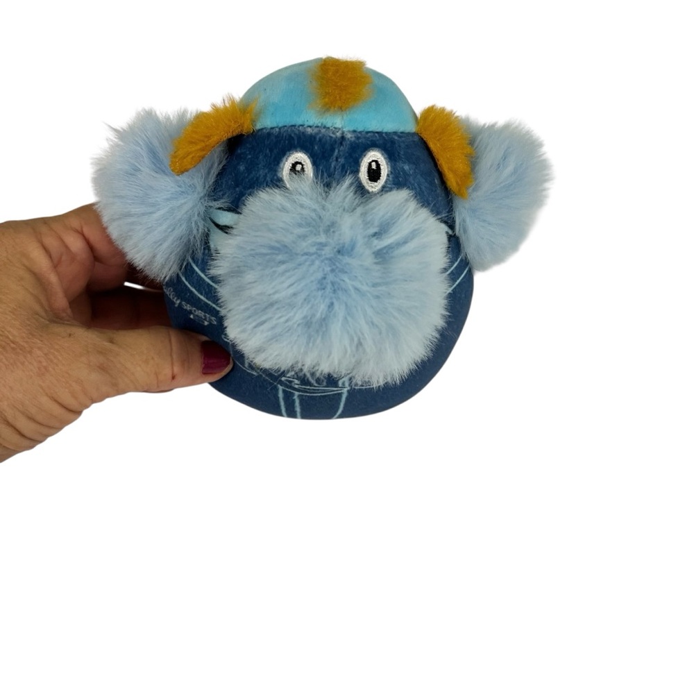 Tampa Bay Rays Raymond 00 Mascot Plush  Small Multicolor